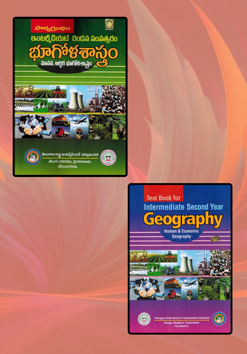 Intermediate Second Year Geography (Human and Economic Geography) l 2020 Edition