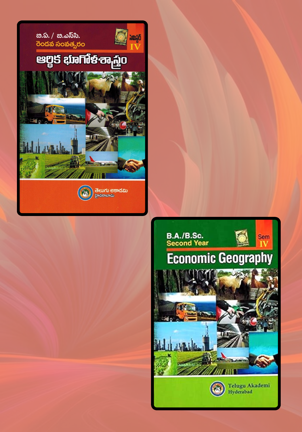 BA/BSC Second Year Economic Geography