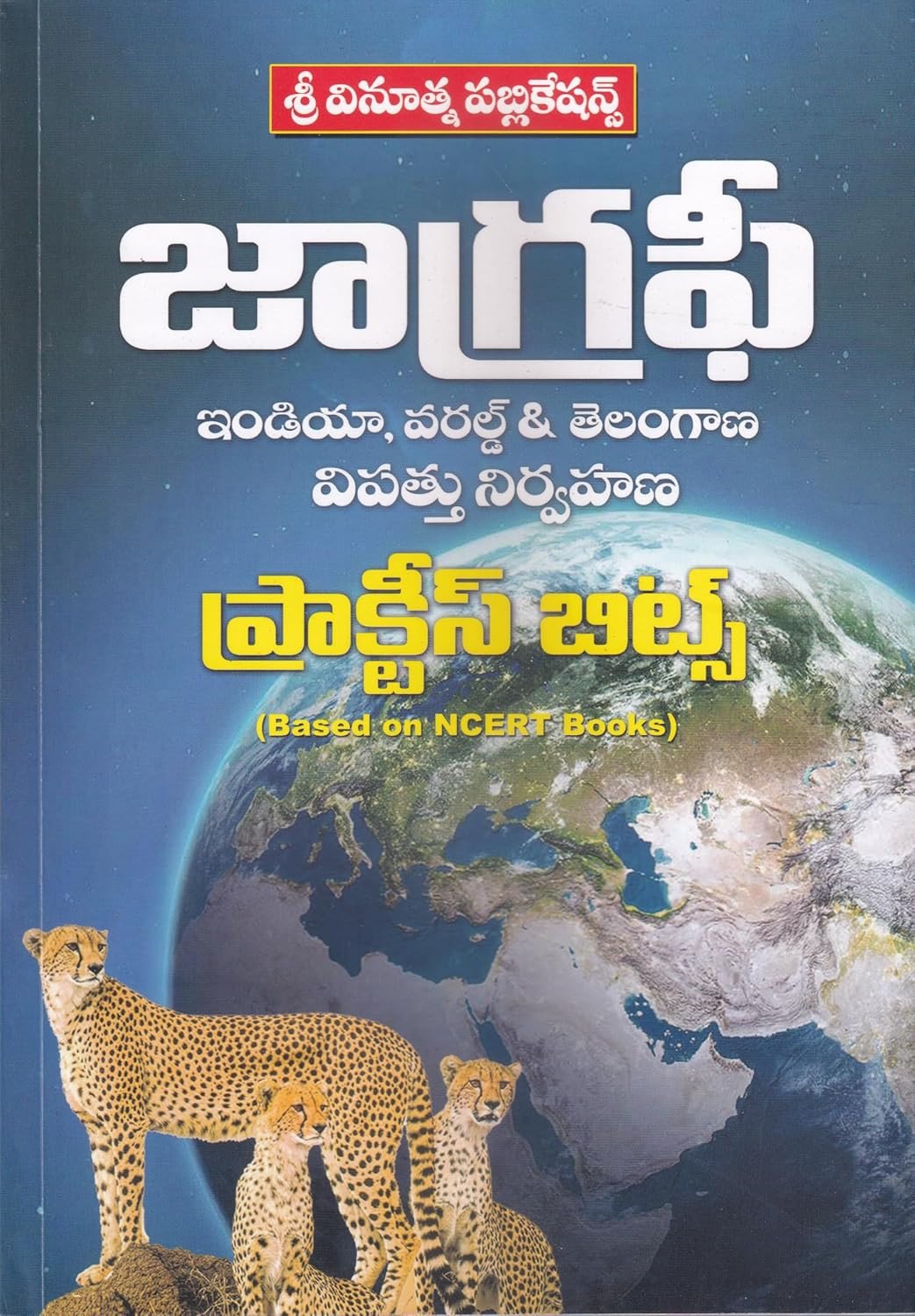 Next Book Image